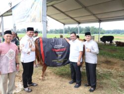Polda Sumut Sembelih 31 Ekor Sapi di Hari Raya Idul Adha & Dibagikan dalam 4.976 Paket