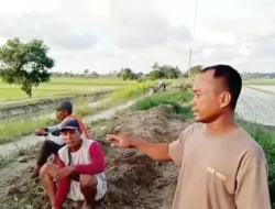 Petani Desa Tanjung Mulia Resah, Sedimen Halangi Jalan Pertanian dan Saluran Irigasi