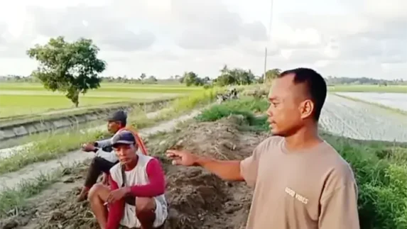 Petani Desa Tanjung Mulia Resah, Sedimen Halangi Jalan Pertanian dan Saluran Irigasi