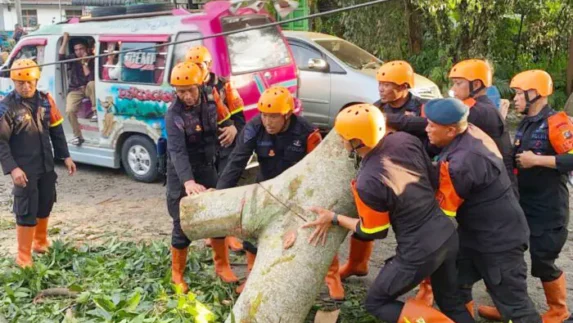 Pohon Tumbang Tutup Akses Jalan, Brimob Sumut Bergerak Cepat Bantu Warga Pematangsiantar