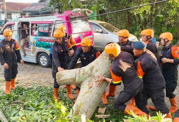 Pohon Tumbang Tutup Akses Jalan, Brimob Sumut Bergerak Cepat Bantu Warga Pematangsiantar