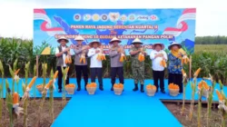 Polda Sumut Ikuti Panen Raya Jagung Serentak Polri Bersama Presiden Prabowo