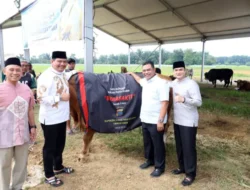 Polda Sumut Sembelih 31 Ekor Sapi di Hari Raya Iduladha, Dibagikan dalam 4.976 Paket