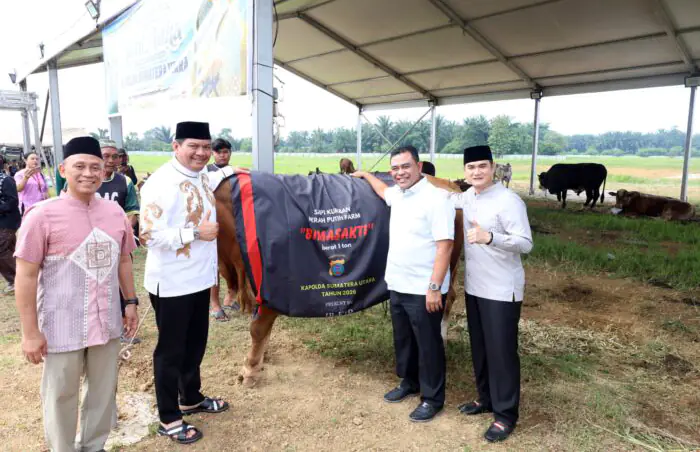 Polda Sumut Sembelih 31 Ekor Sapi di Hari Raya Iduladha, Dibagikan dalam 4.976 Paket
