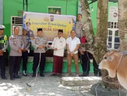 Polres Labusel Tebar Kepedulian Iduladha 1447 H, Salurkan Hewan Kurban Kapoldasu dan Kapolres