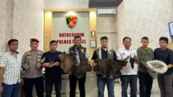 Polres Tapsel Gagalkan Perdagangan Satwa Dilindungi