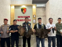 Polres Tapsel Gagalkan Perdagangan Satwa Dilindungi