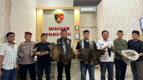 Polres Tapsel Gagalkan Perdagangan Satwa Dilindungi
