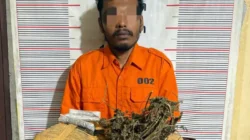Polsek Bahorok Gagalkan Peredaran 2 Kilogram Ganja di Bukit Lawang