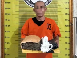 Pria 53 Tahun di Padangsidimpuan Ditangkap Saat Bawa 900 Gram Ganja di Jalinsum