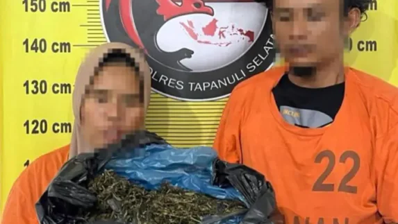 Satresnarkoba Polres Tapsel Gagalkan Peredaran 3 Kg Ganja