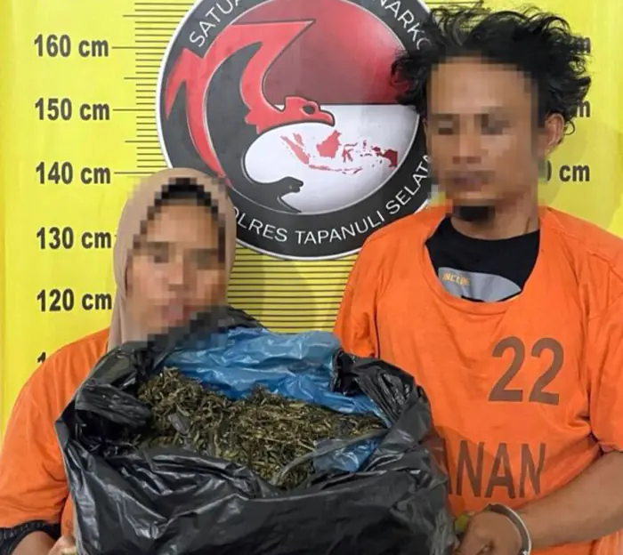 Satresnarkoba Polres Tapsel Gagalkan Peredaran 3 Kg Ganja