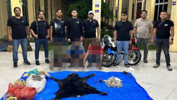 Polres Simalungun Bongkar Perdagangan Satwa Dilindungi