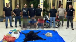 Polres Simalungun Bongkar Perdagangan Satwa Dilindungi