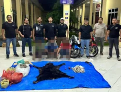 Polres Simalungun Bongkar Perdagangan Satwa Dilindungi
