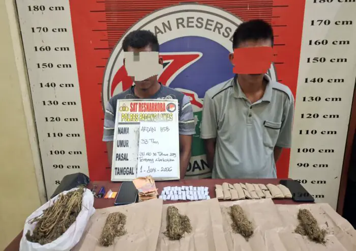 Satres Narkoba Polres Padang Lawas Tangkap Dua Terduga Pengedar Ganja