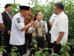 Bupati Pakpak Hadiri Rapat Pembahasan Pengembangan Pertanian Berbasis AI