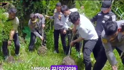 Polisi Temukan Ladang Ganja Tersembunyi di Perladangan Sukatendel