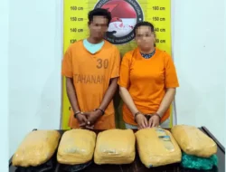 Satresnarkoba Polres Tapsel Gagalkan Peredaran Ganja 5 Kilogram