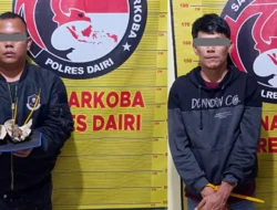 Kurir dan Pengedar Ganja di Bintang Mersada Berhasil Dibekuk Polres Dairi