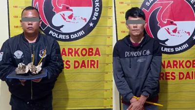 Kurir dan Pengedar Ganja di Bintang Mersada Berhasil Dibekuk Polres Dairi