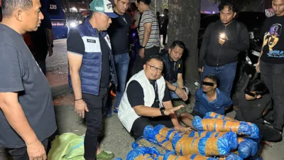 Satresnarkoba Polrestabes Medan Berhasil Gagalkan Pengiriman 93 Kg Ganja
