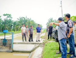 Bupati Baharuddin Tinjau Irigasi Primer Pasar 8