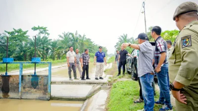 Bupati Baharuddin Tinjau Irigasi Primer Pasar 8