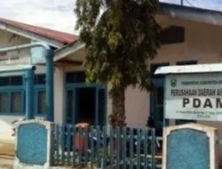 Dirut Tirta Solinda Febri Fauza: Karyawan Bermasalah yang Ditarik ke Pusat Pelanggaran Berat
