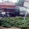 Judi Dadu Putar Merajalela di Namorindang, Kapolsek Kutalimbaru Bungkam Saat Dikonfirmasi