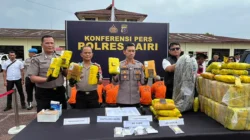 Polres Dairi Ungkap 33 Kasus Narkotika, 70 Kg Ganja Disita