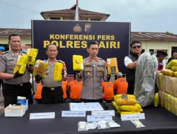 Polres Dairi Ungkap 33 Kasus Narkotika, 70 Kg Ganja Disita