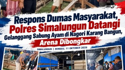 Polsek Gunung Malela Tindaklanjuti Dumas Sabung Ayam, Pemilik Bongkar Arena